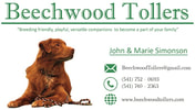 Beechwood Tollers - "Breeding friendly, playful, versatile companions to become part of your family&rdquo;